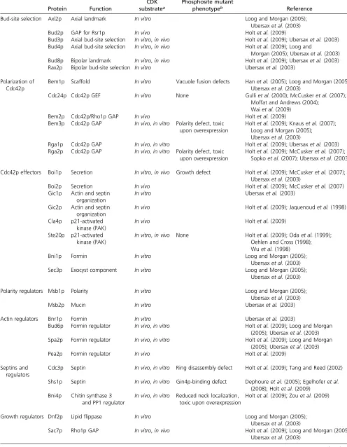 Table 1 CDK substrates with roles in morphogenesis