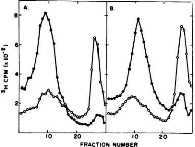 FIG.2.polyacrylamidepreparation).purifiedDeoxynucleosidetiallyRNase70SRNaseutilizationdeoxynucleosideimposed70Swithnucleolyticthe Effect of RNase H on 70S template RNA during the enzymatic synthesis of DNA