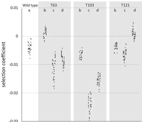 Table 3 Estimation of the mean (�competition assays (code ins) and standard deviation (ss) of genotypic selection coefﬁcients per generation in the different ﬁrst column)