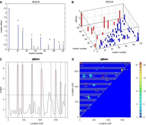 Figure 4 (A and B) The absolute value of estimated main and epistatic effects from the hierarchical generalized linear models (in B, the blue lines on thelogarithmic scale) for main effects obtained by R/qtlbim