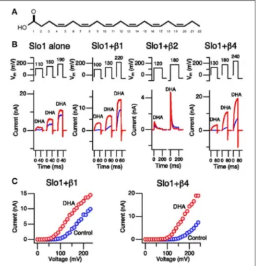FIGURE 3 | Effects of DHA on K Ca 1.1 channels. (A) Chemical structure of DHA. (B) Currents generated by K Ca 1.1, K Ca 1.1+β1, and K Ca 1.1+β4 channels in inside-out patches recorded in the absence of calcium