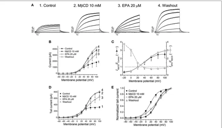 FIGURE 4 | Effects of EPA in membrane cholesterol-depleted cells with methyl-β-cyclodextrin (MβCD)