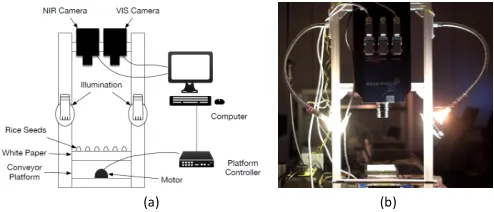 Fig. 2.Experimental setup of the data acquisition. (a) A schematic view .(b) A Photo of the real HSI system