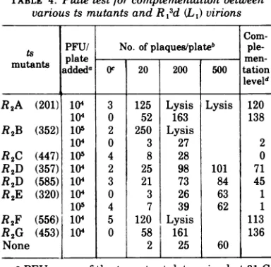 TABLE 4. Plate test for complementation betweenvarious ts mutants and R,3d (L1) virions