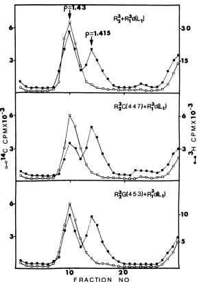 FIG.1.preformedpH8.0,labeledity.inrotor.between Table Cesium chloride gradient analysis ofthe viral cores obtained from the 31 C progeny ofco-infection defective virions and wild-type or ts virus
