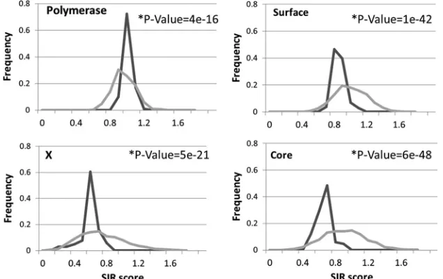 FIG. 4. SIR score versus neutral SIR score in HBV proteins. Histogram of SIR score distribution of HBV sequences (dark lines) and that ofthe same sequences, but scrambled (gray lines)