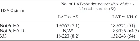 TABLE 1. HSV-2 NotPolyA strain preferentially establishes latencyin KH10-expressing sensory neurons
