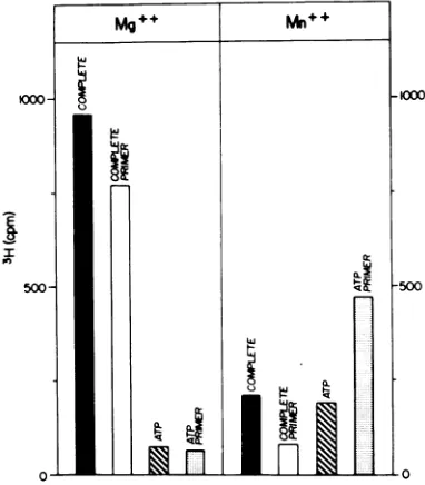 FIG. 9.purifiedradioactivityaddedsencethesisandlormM[3H]AMP,uM). Effect of Mn2+ and a primer on RNA syn- by the partially purified replication complex