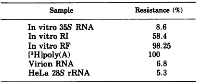 TABLE 2. Resistance ofRNAs labeled in vitro todigestion by RNase Aa