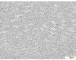 Fig. 10.a) Cut view of Electron beam 20 mm thick  316LN butt joint weld sample with back protection strip, 