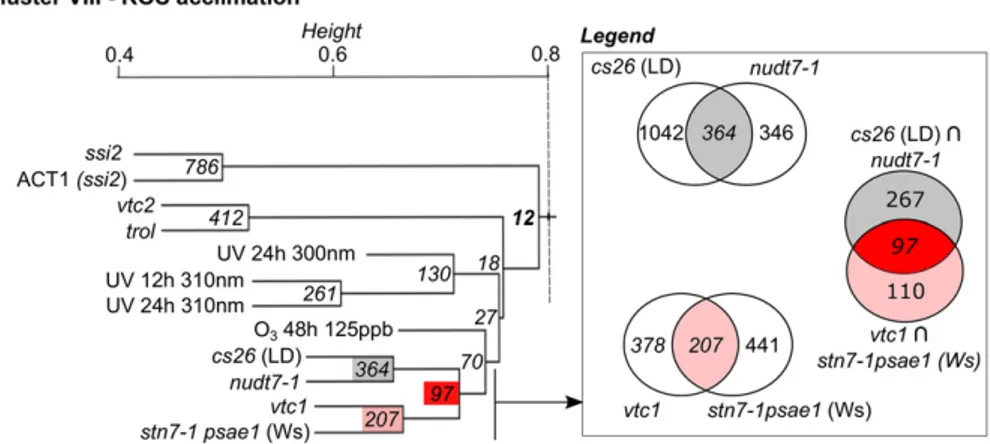 Figure 4A shows as an example the REM results for GLUTAREDOXIN13 (AT1G03850) in cluster VIII.