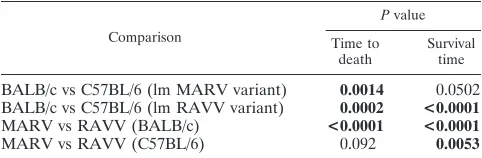 FIG. 4. H-2each group) were infected i.p. with 1,000 PFU of wt or lm MARV andRAVV variants and were observed for 14 days p.i