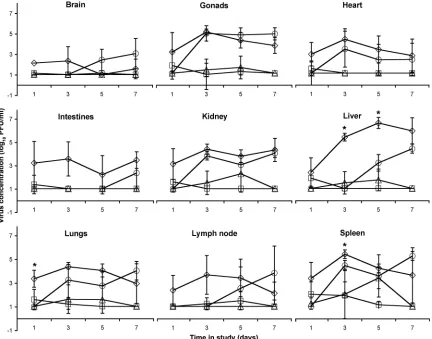 FIG. 5. Tissue tropisms of the wt and lm MARV and RAVV variants (�differences among viruses were based on tissue tropisms of variants in infected immunocompetent BALB/c mouse tissues at 1, 3, 5, and 7 days p.i.(in lung tissue at day 1 p.i., the spleen and 