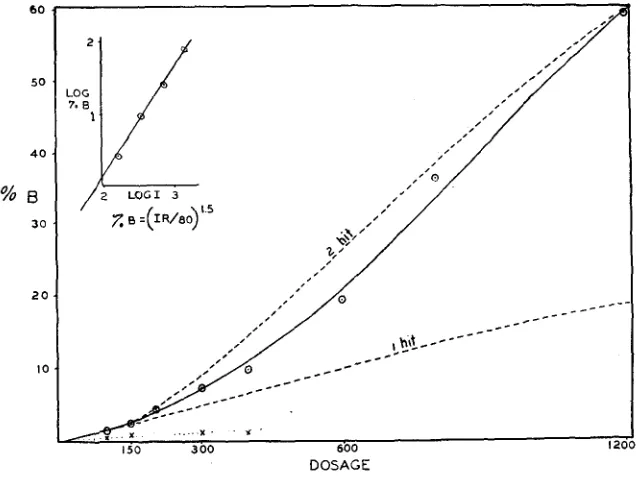 DESCRIPTION OF based on equations for The relation between dosage and chromosome aberration compared with theoretical curves hit (%B = TABLE 7 -eo*) and hits [%B  an)] reactions