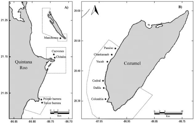 Fig. 1. – Study area. A, Yucatan Peninsula; B, Cozumel Island. The continuous line delimits the polygons of Cancún National Park and  Cozumel National Park