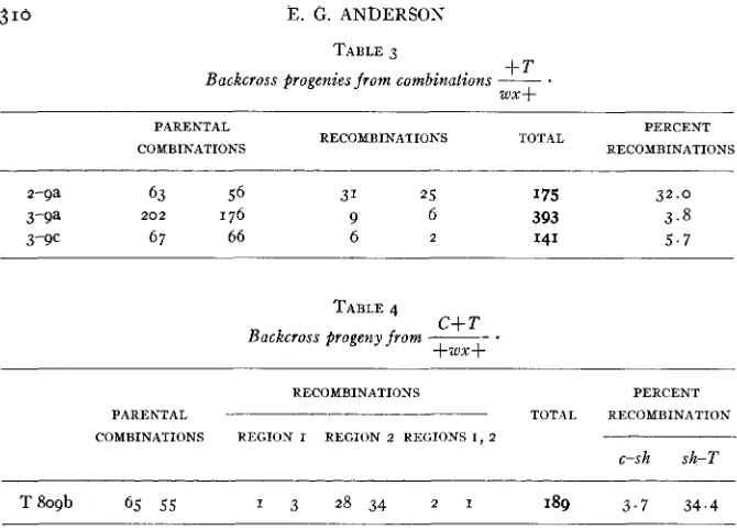 TABLE 3 