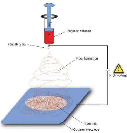 Figure 2.4 Schematic figure of Elecrtospinnig process [13] 