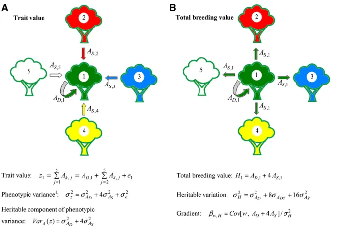 Figure 1 (A and B) Heritable variation with