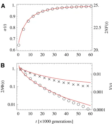 Figure 6 Degree and speed of adaptation for approach to equilibrium.substitution rate (crosses) as a function of time, together with theory (redlines)