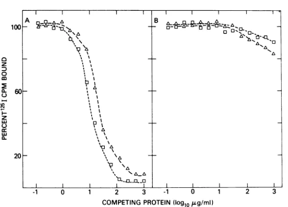 FIG. 2.11.the Viral antigen expression in cell extracts prepared from (A) WSV Cl 9, (B) WSV Cl 2, and (C) WSV Cl Extracts were assayed for woolly monkey virus p12 (0) and p30 (A) immunological reactivity as described in legend to Fig