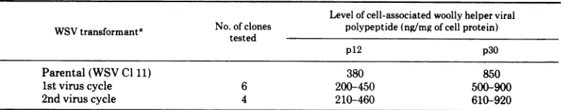 TABLE 3. Genetic stability of woolly viral p12 and p30 expression by progeny of one WSV variant