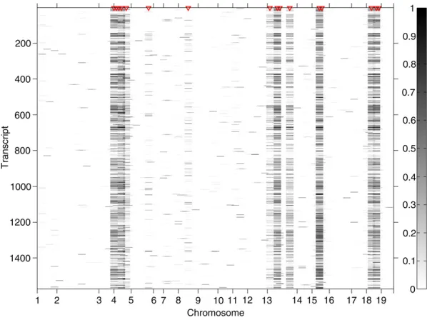 Figure 5 Tail posterior probability for each marker in the human dataposterior probabilityposition of annotated SNP rs9557217 and rs9585056 that were previ-ously associated with IDIN network in the Cardiogenics Study cohort andEBI2triangles indicate marker