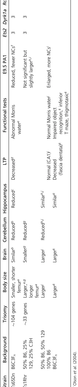 Table 1 DS-associated phenotypes found in Ts65Dn and Ts1Rhr mice on different genetic backgrounds