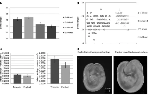 Figure 2 Average somite stage, somite variability, and volumes of E9.5 embryos by genotype and genetic background