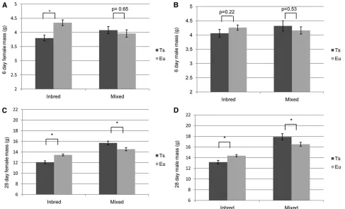 Figure 3 Weights of offspring from Ts1Rhr inbred and mixed background mating crosses. (A) Trisomic inbred P6 females were signieuploid mice while no signiﬁcantly smaller thanﬁcant difference was seen in mixed background female P6 mice (P , 0.05, n ¼ 60 tri
