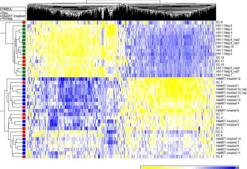 FIG. 2. Clustering analysis of the differentially expressed genes in CD4 T cells from elite controllers, HIV-1-negative persons, and ART-treatedindividuals