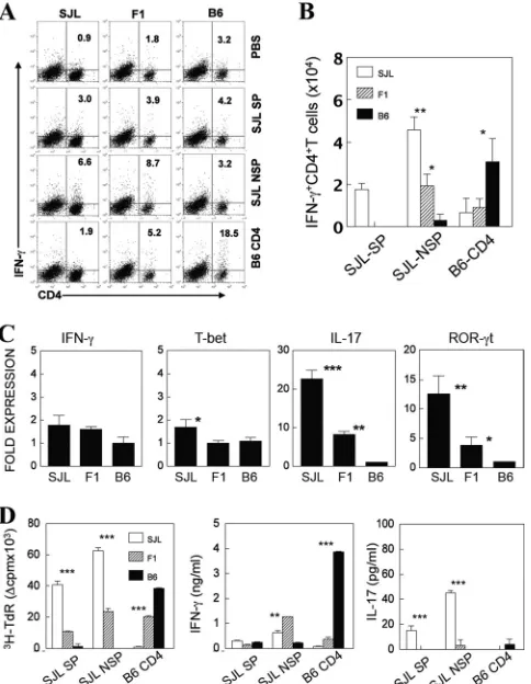 FIG. 2. CD4�tural peptides (SJL NSP), or I-Aepitope mixtures are shown. (C) mRNA expression levels of cytokinesand transcription factors in the CNS at 10 days postinfection wereanalyzed by quantitative PCR
