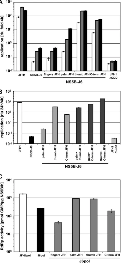 FIG. 2. Rescue of J6-NS5B by replacement with different JFH1segments. (A and B) Replication efﬁciencies of chimeric NS5B-J6