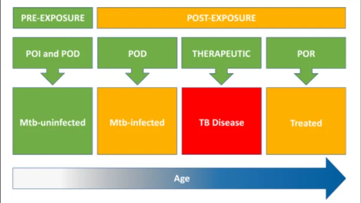 FIGURE 1 | Target populations for new TB vaccines include Mtb-uninfected (pre-exposure) and Mtb-infected, TB diseased, and treated individuals (post-exposure)