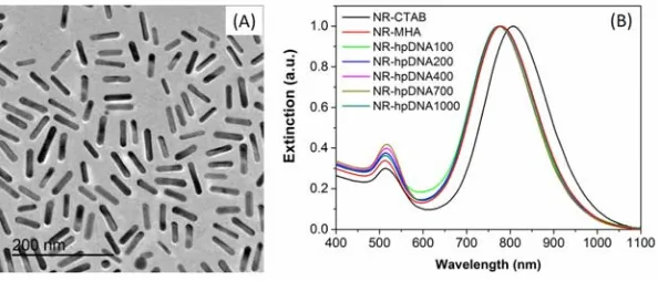 Figure 1. (a) TEM image of the gold nanorods. The scale bar is 200 nm; (b) Extinction spectra 