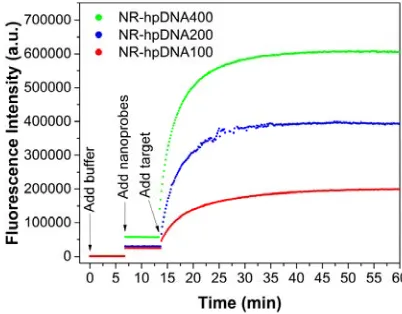 Figure 3. Kinetic fluorescence measurements of the nanoprobes upon hybridization. The 