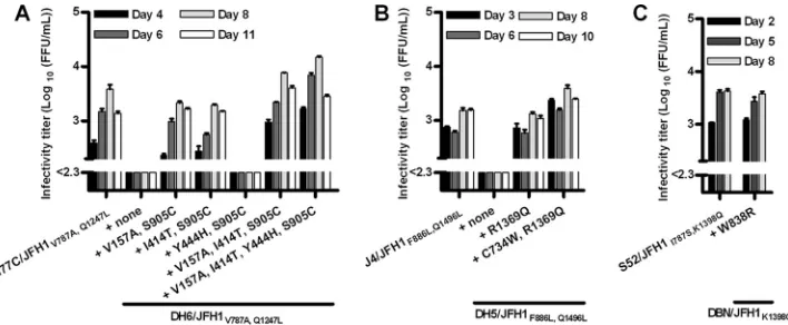 FIG. 4. HCV infectivity titers after transfection of Huh7.5 cellswith the novel JFH1-based core-NS2 genotype recombinants TN/JFH1
