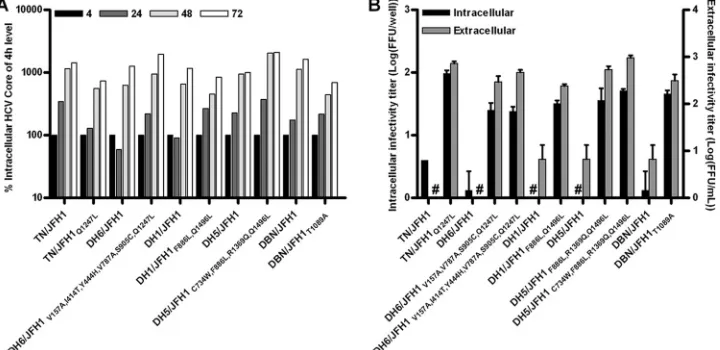 FIG. 5. Determination of efﬁciencies of HCV RNA replication and assembly of intracellular viral particles for novel JFH1-based core-NS2genotype recombinants