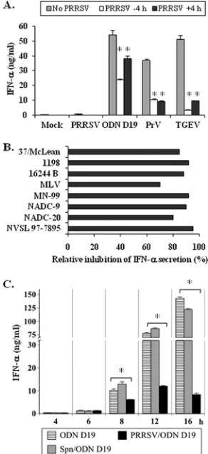 FIG. 1. PRRSV inhibits IFN-�posed to other viruses or a TLR9 agonist. (A) One million porcinePBMC were cultured in medium alone (Mock) or in medium contain-ing PRRSV, ODN D19, PrV, or TGEV