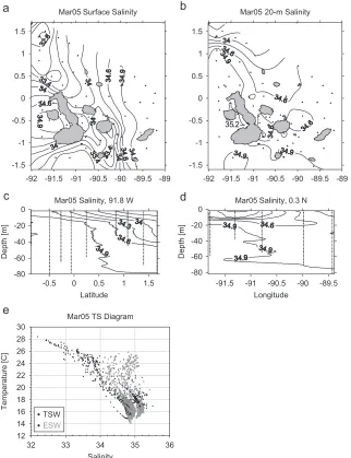 Fig. 4. March 2005 survey of (a) SSS, (b) 20-m salinity, (c) salinity at 91.81W, (d) salinity at 0.31N, and (e) TS diagram.