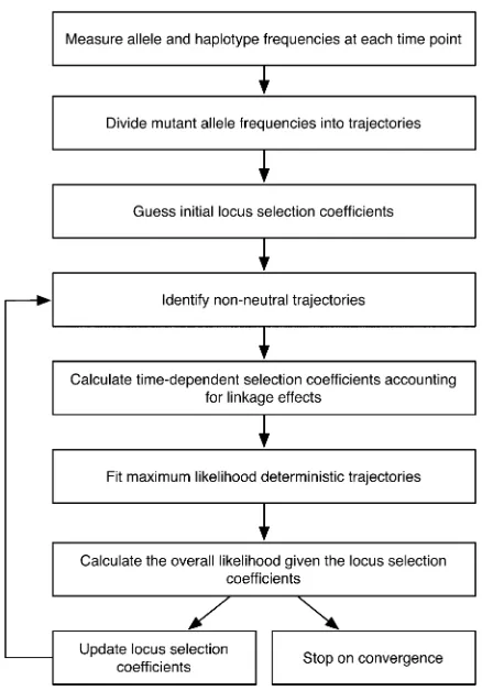 Figure 1 Flow chart illustrating the steps of the method.