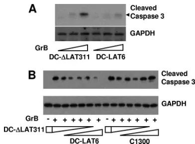 Fig. 4B shows results for a control in which increasing amounts