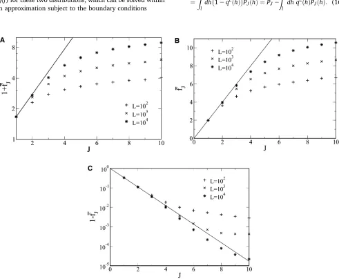 Figure 1 Evolution of averagewith the average ﬁtness with the number of adaptive steps starting from zero initial ﬁtness obtained numerically (points) and compared ﬁtness in inﬁnite sequence length limit (lines) for (A) power law-distributed ﬁtness with d ¼ 6, Equation 22; (B) exponentially distributedﬁtness, Equation 23; and (C) uniformly distributed ﬁtness, Equation 25.