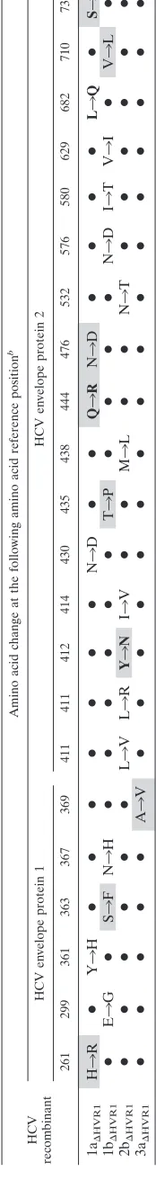 TABLE 2. Coding envelope mutations observed by full ORF sequencing of transfections and infections with HVR1-deleted HCV recombinants with Core-NS2aof genotypes 1a, 1b, 2b, and 3a