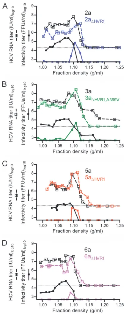 FIG. 4. HVR1 deletion from JFH1-based viruses with Core-NS2 ofdifferent genotypes resulted in increased sensitivity to neutralizing