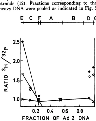 FIG. 2.completeddifferent Relative amounts of ['H]i fragments obtained by molecules with EndoR-