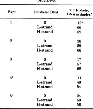 TABLE 1.DNA Hybridization between 'H-labeled heavy and "2P-labeled complement-specific Ad2 DNA 3Piea