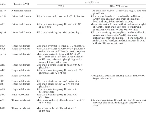 TABLE 1. Interactions of VP1 SD and SI residues with the 3�CS� and other VP1 residues