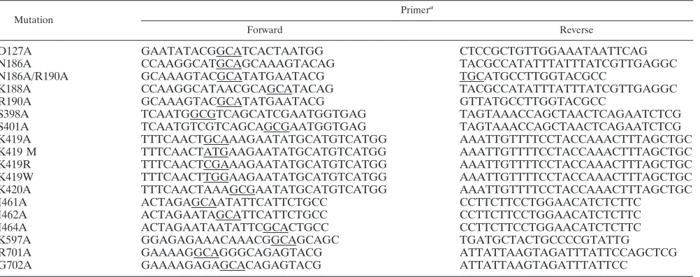 TABLE 2. Primers used to engineer mutations in pENTR-A-VP1