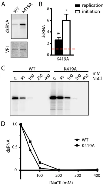 FIG. 5. Replication initiation by the K419A mutant. (A) sensitivity assay. Concentrations of NaCl included in reaction mixturesare indicated