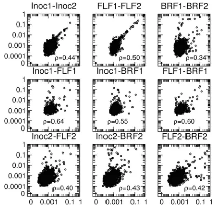 FIG. 5. Variability in viral populations. Frequency distributions ofthe weighted averaged mismatch frequencies between the two runs are